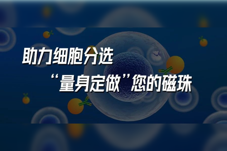 助力细胞分选，“量身定做”您的磁珠