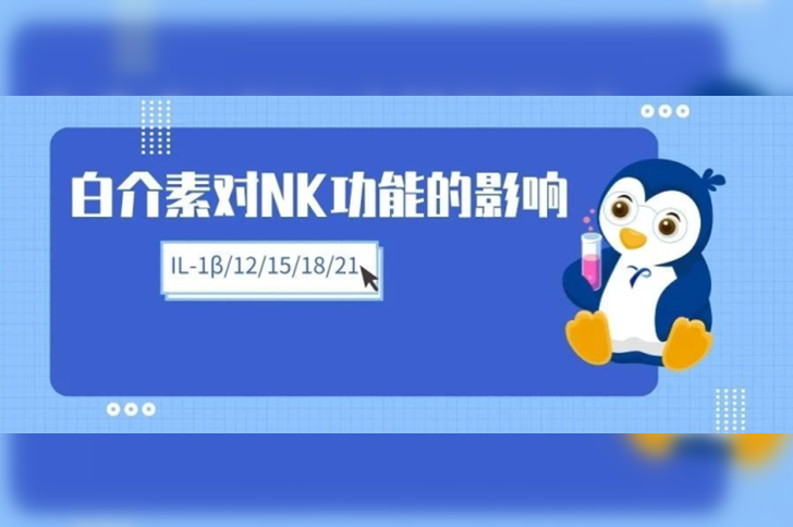 白介素对NK细胞功能的影响（IL-1β、IL-12、IL-15...）