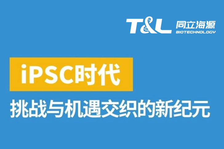 iPSC：挑战与机遇交织的新纪元