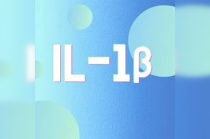 炎症关键靶点 IL-1β：那些你不得不了解的“痛”点