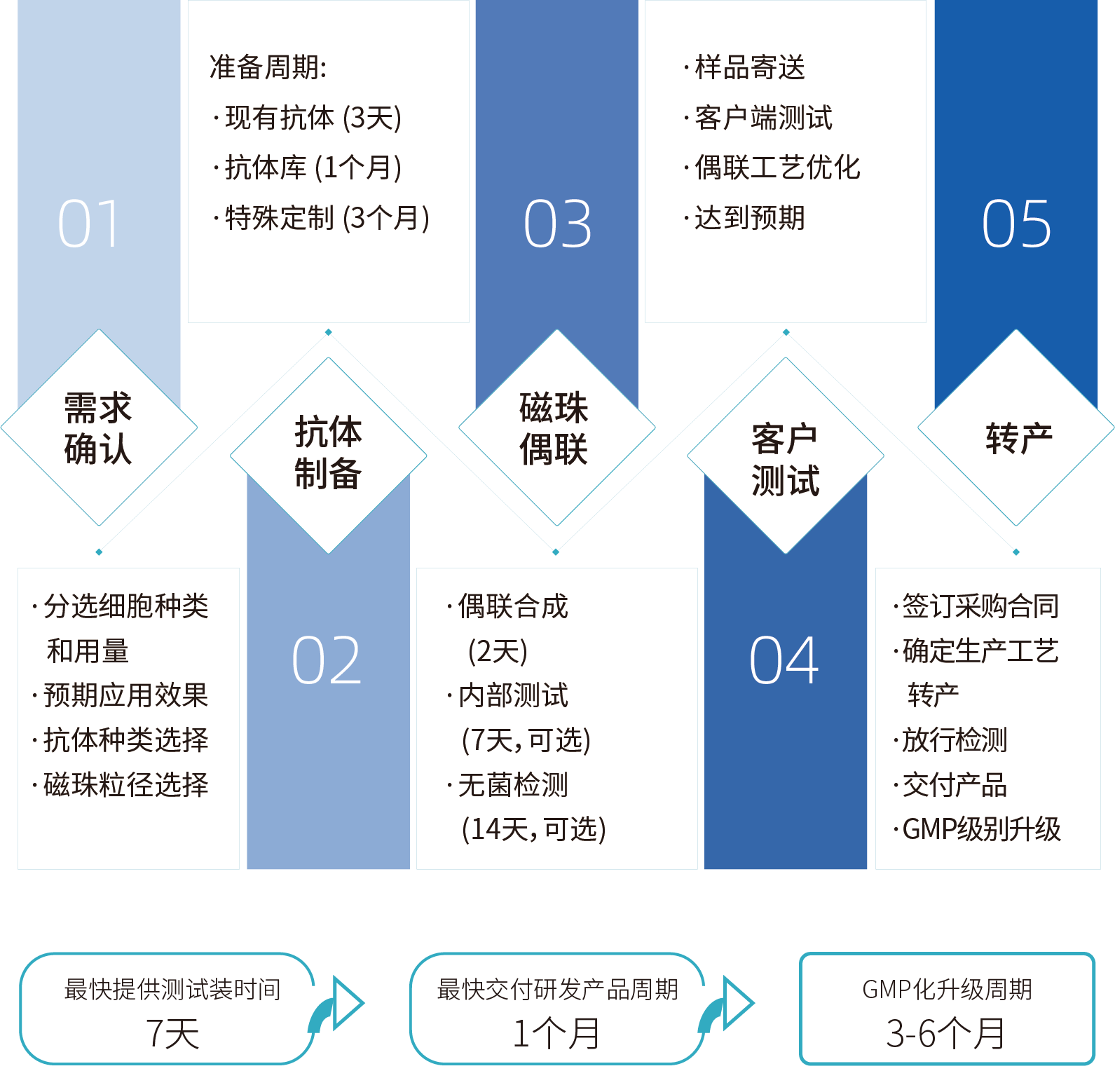 ag尊龙链接细胞分选激活磁珠/分选磁珠定制，定制流程