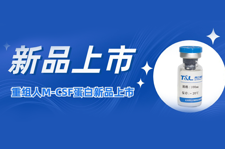 M-CSF | 让您的巨噬细胞更强大！