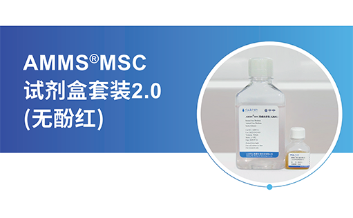 hUMSCs是个“宝”，扩增宝库全靠-AMMS®MSC无血清培养试剂盒