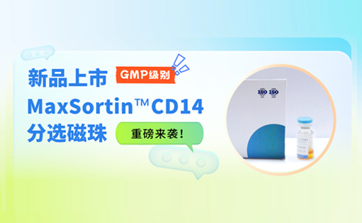 新品上市 | GMP级别MaxSortin™CD14分选磁珠重磅来袭！