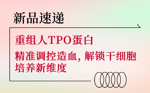 新品速递 | 重组人TPO蛋白震撼上市！精准调控造血，解锁干细胞培养新维度-ag尊龙链接