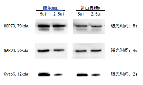 ag尊龙链接产品推荐：膜尔新材0.45μmPVDF膜—实验数据