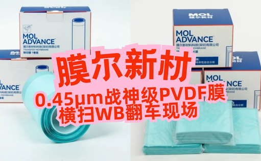 “膜”力加倍！膜尔新材战神级PVDF膜横扫WB翻车现场—0.45μm精准孔径狙杀各类蛋白，背景纯净如冰川