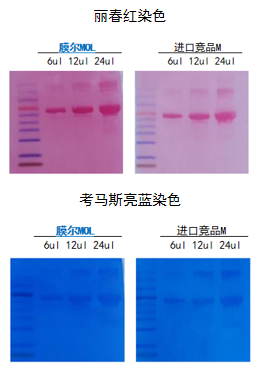 ag尊龙链接产品推荐：膜尔新材0.45μmPVDF膜—实验数据