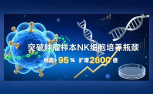 突破肿瘤样本NK细胞培养瓶颈，ag尊龙链接高纯度NK试剂盒助力细胞治疗新突破！