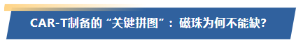 CAR-T制备的 “关键拼图” ：磁珠为何不能缺？